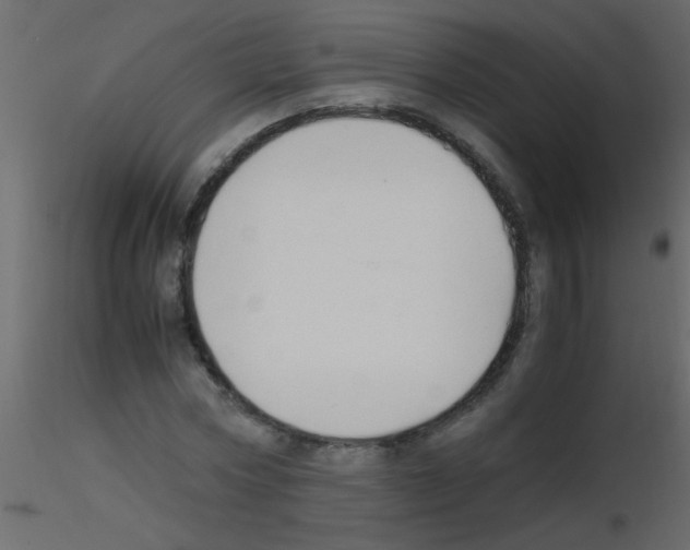 X0000115800778200912241852