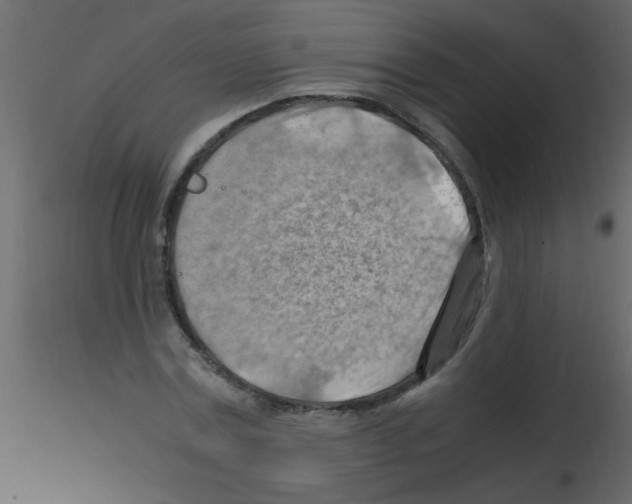 X0000115800779200912241852