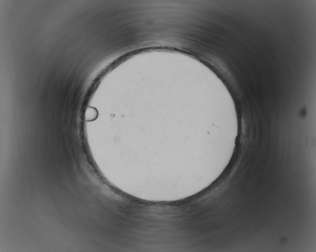 X0000115800780200912241852