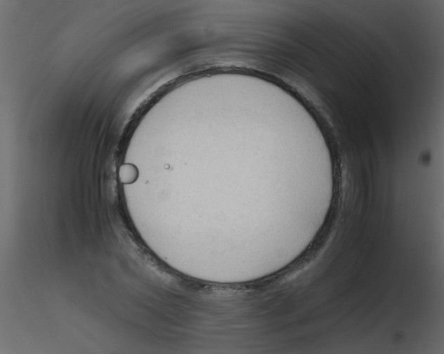 X0000115800782200912241852