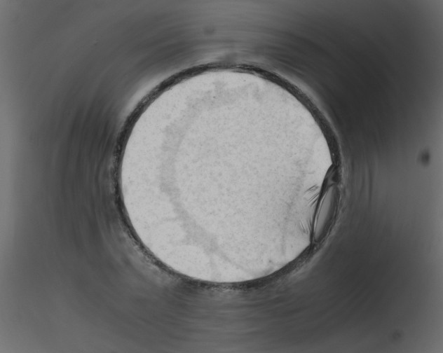 X0000115800783200912241852