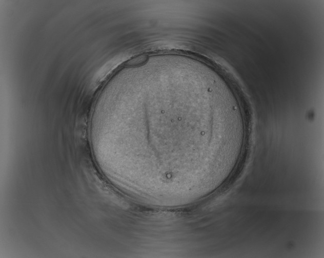 X0000115800785200912241852