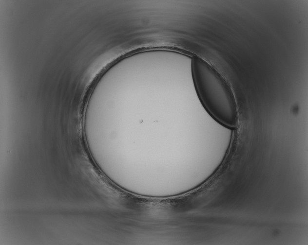 X0000115800789200912241852