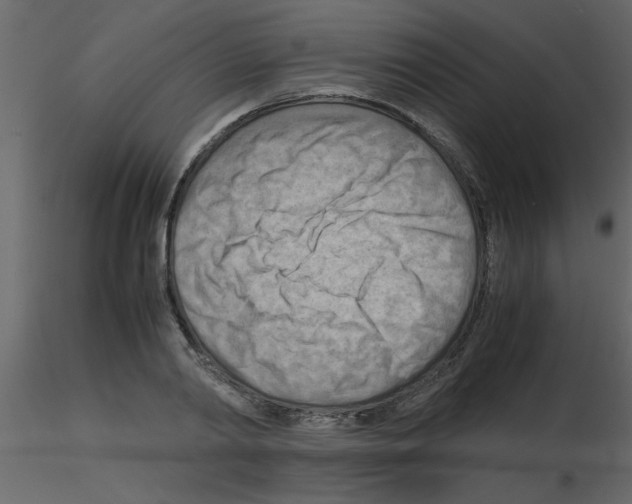 X0000115800790200912241852