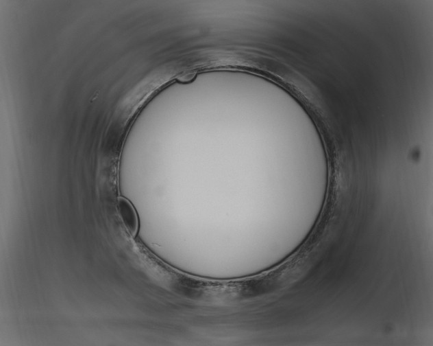 X0000115800793200912241852