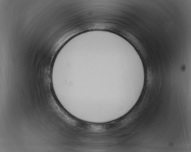 X0000115800794200912241852