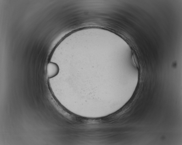 X0000115800796200912241852