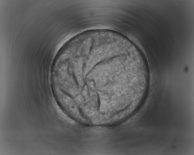 X0000115800797200912241852