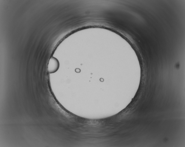 X0000115800799200912241852