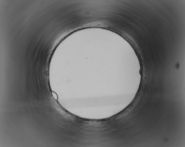 X0000115800800200912241852