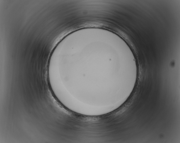 X0000115800802200912241852