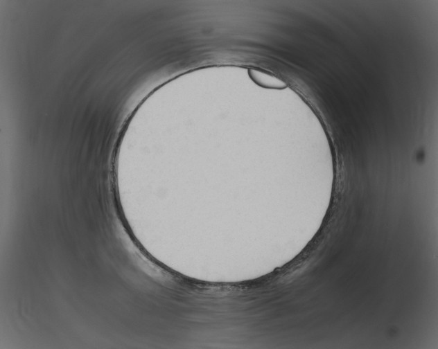 X0000115800803200912241852