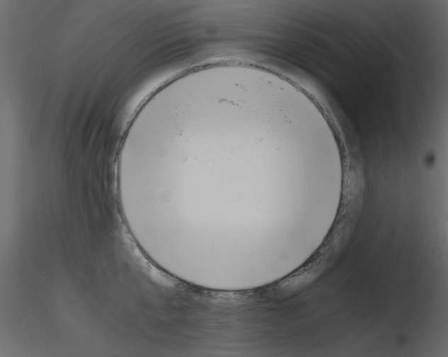 X0000115800807200912241852