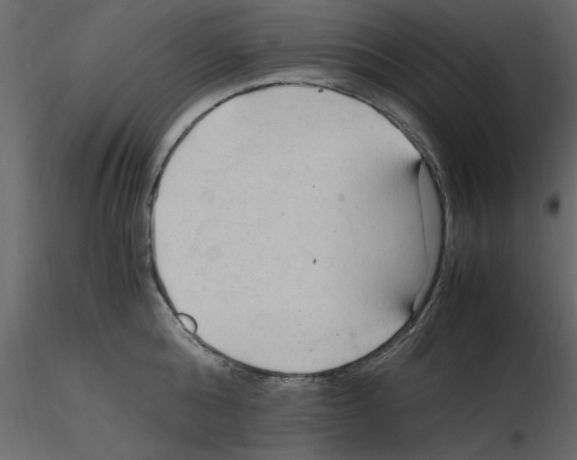 X0000115800808200912241852