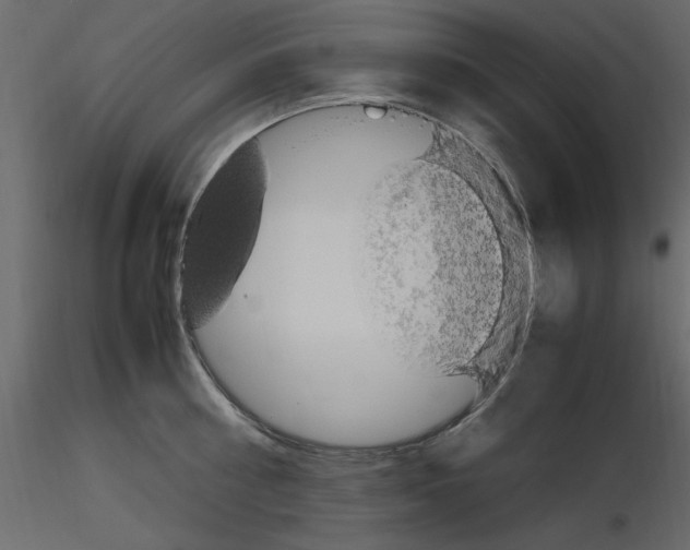 X0000115800810200912241852