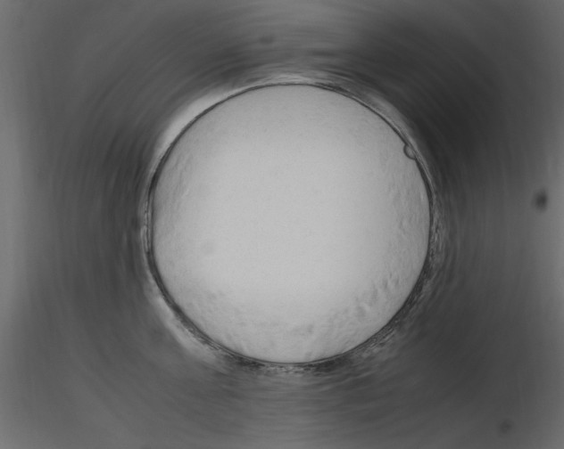 X0000115800811200912241852