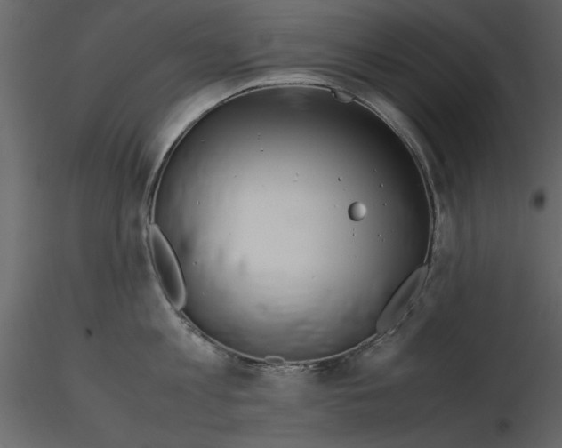 X0000115800813200912241852