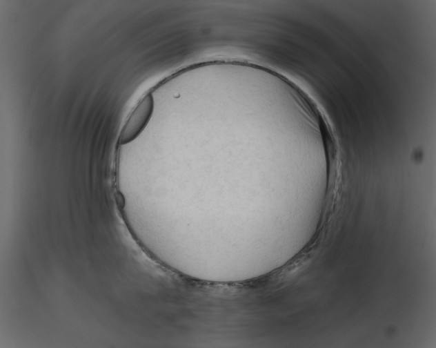 X0000115800815200912241851