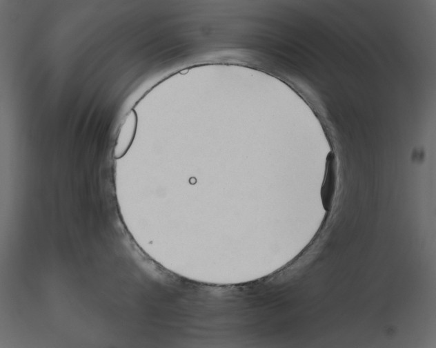 X0000115800816200912241851