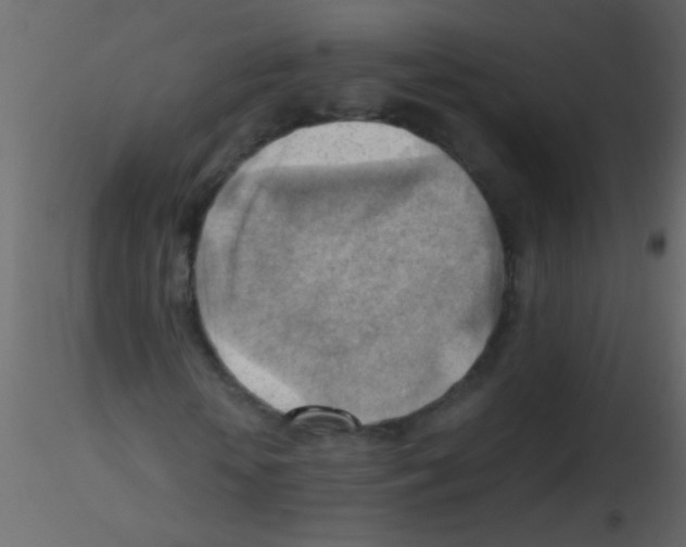 X0000115800818200912241851