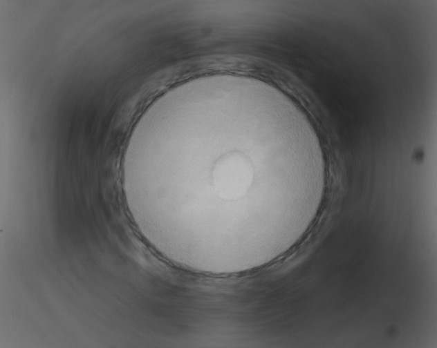 X0000115800820200912241851