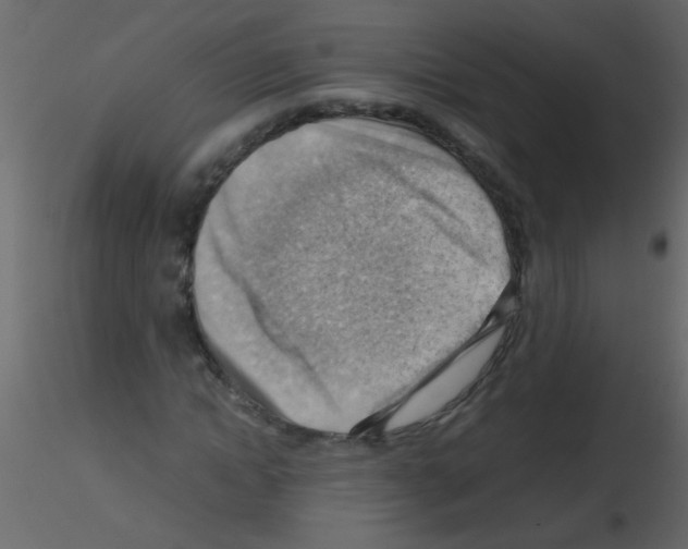 X0000115800822200912241851