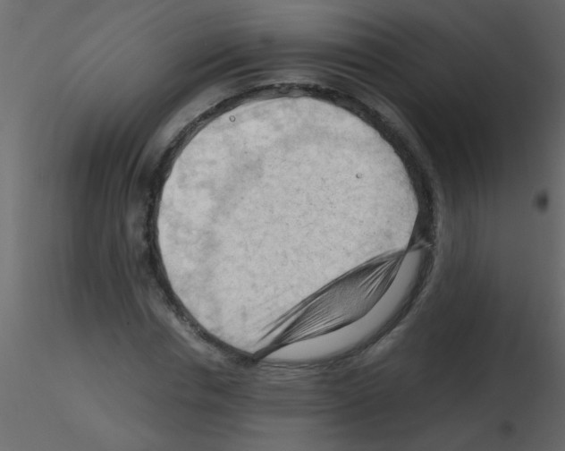 X0000115800826200912241851