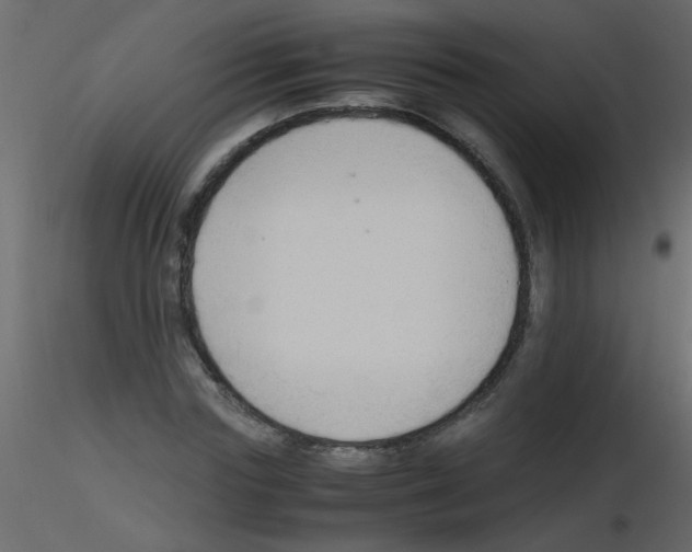 X0000115800827200912241851