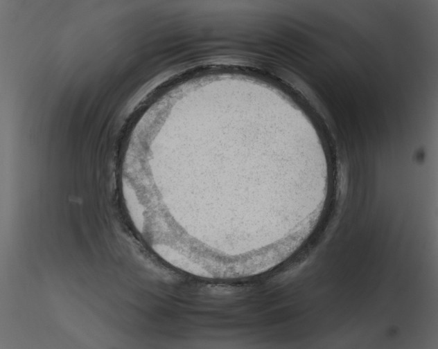 X0000115800829200912241851