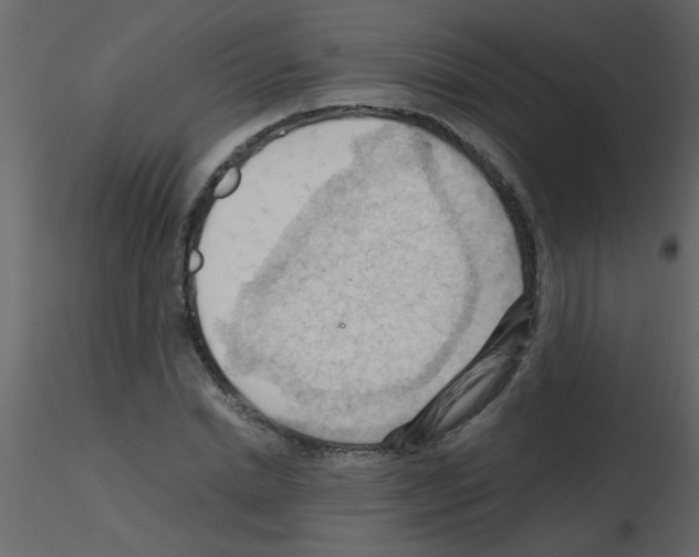 X0000115800830200912241851