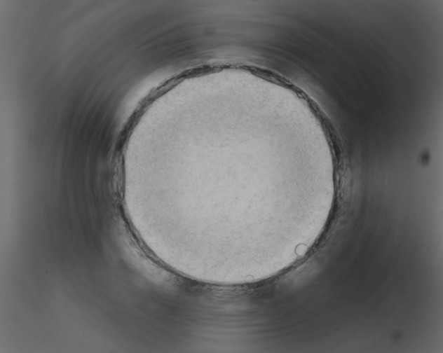 X0000115800832200912241851