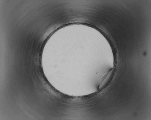 X0000115800834200912241851