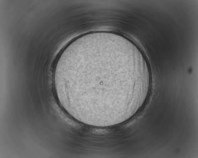 X0000115800835200912241851