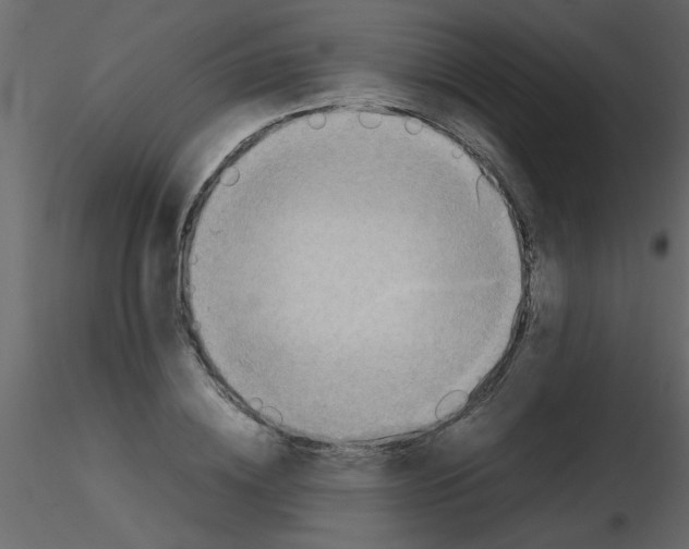 X0000115800836200912241851