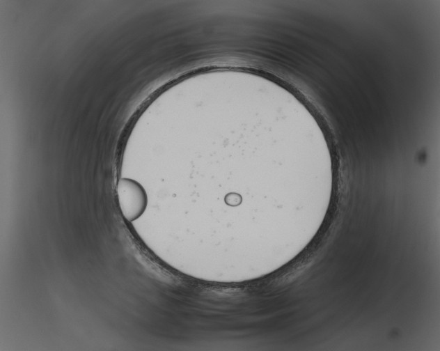 X0000115800837200912241851