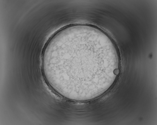 X0000115800839200912241851