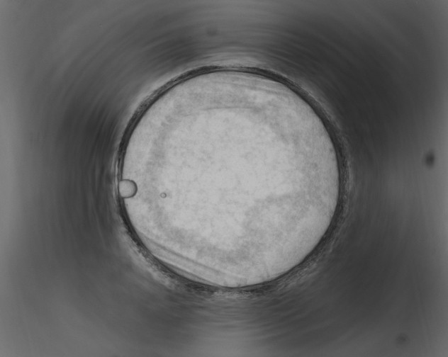 X0000115800840200912241851