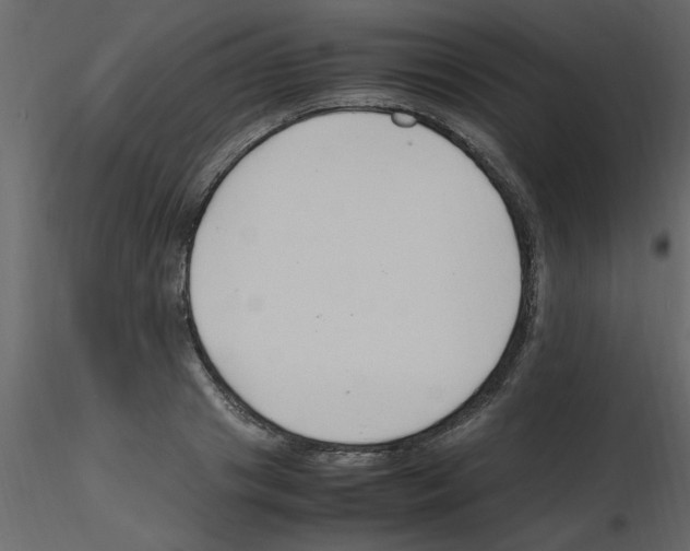 X0000115800841200912241851