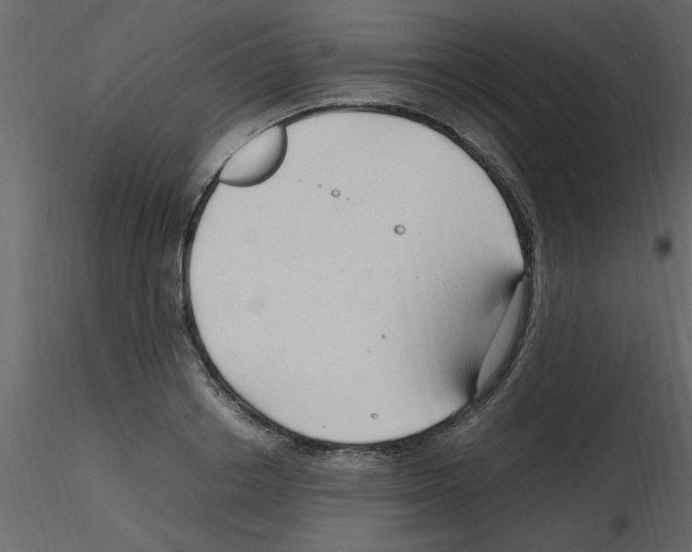 X0000115800842200912241851