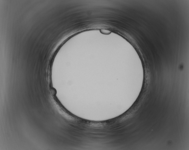 X0000115800843200912241851