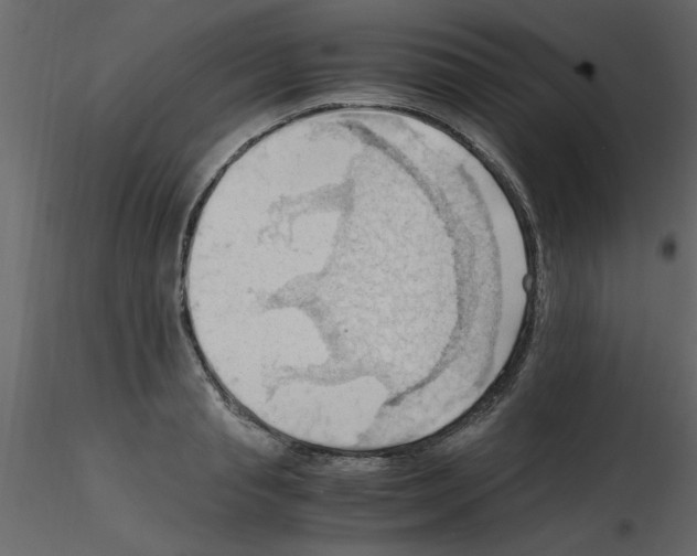 X0000115800845200912241851