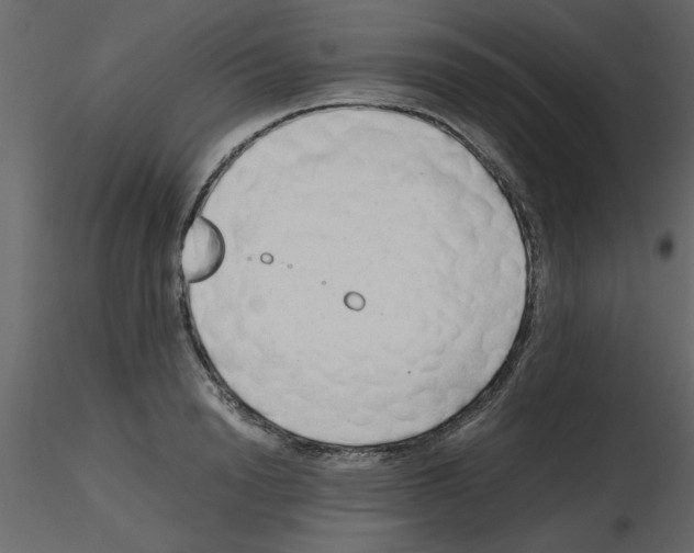 X0000115800846200912241851