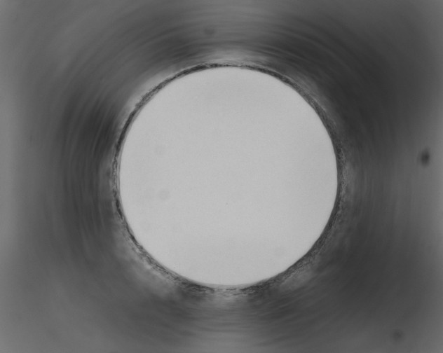 X0000115800848200912241851