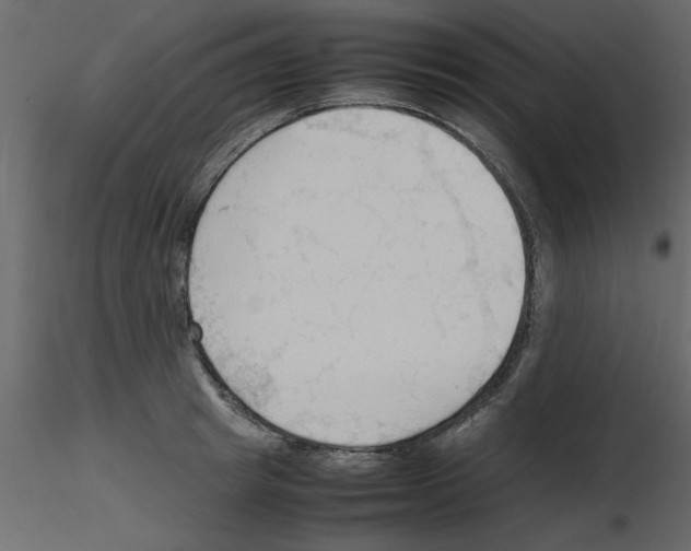 X0000115800849200912241851