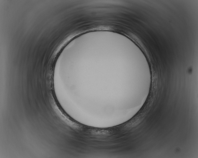 X0000115800851200912241851