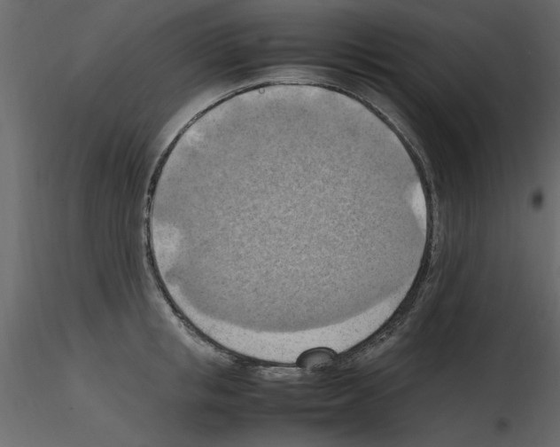 X0000115800853200912241851