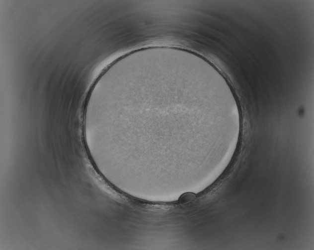 X0000115800854200912241851