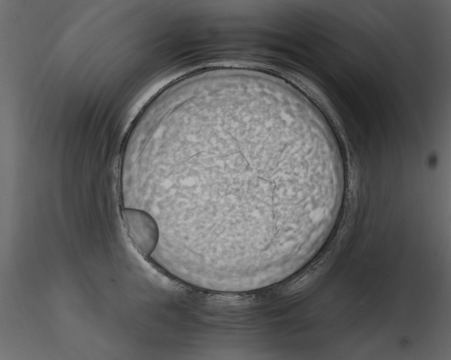 X0000115800855200912241851