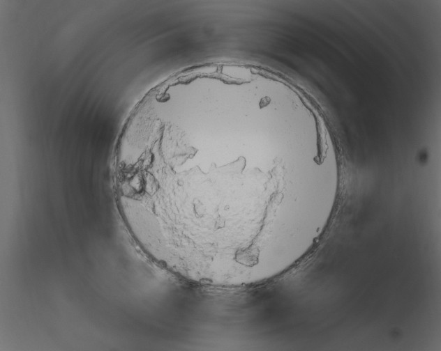 X0000115800856200912241851