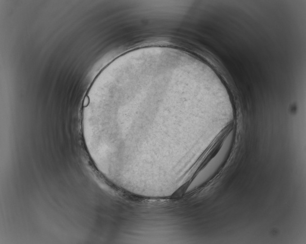 X0000115800858200912241851